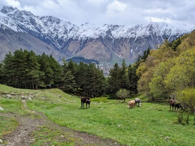 Culinaire rondreis Georgie